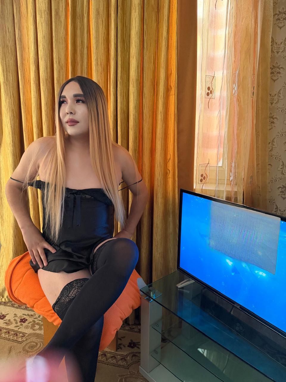 Luina Trans — photo